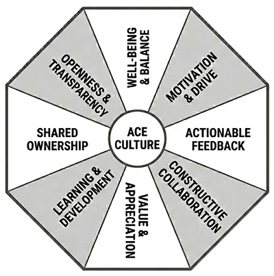 The Original Focus Areas Explored In The Book The Original Focus Areas
